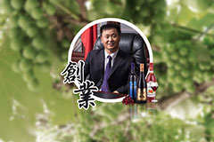 97好色视频葡萄酒总经理毕晓雪接受《文汇报》专访，畅谈“一带一路”建设经验